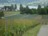 Gem�se- und Weinanbau auf der Insel Reichenau