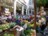 Markthalle Funchal - ein Mu� f�r jeden Besucher