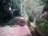 Wanderweg entlang der Levada dos Tornos, einer alten Bew�sserungsanlage