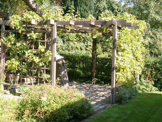 unsere Gartenlaube