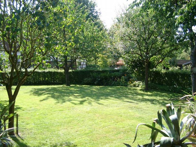 Blick von unserer Terrasse in den Garten