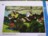 und so hat Gabriele M�nter vor 100 Jahren vom selben Standort Murnau gemalt