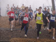 LM Croos 2003 in Ostercappeln
