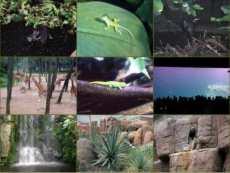 Burgers Zoo in Arnheim