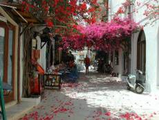 Apellou Ifestou in Kos-Stadt