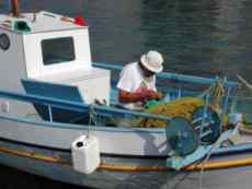 Fischer - Pythagorio