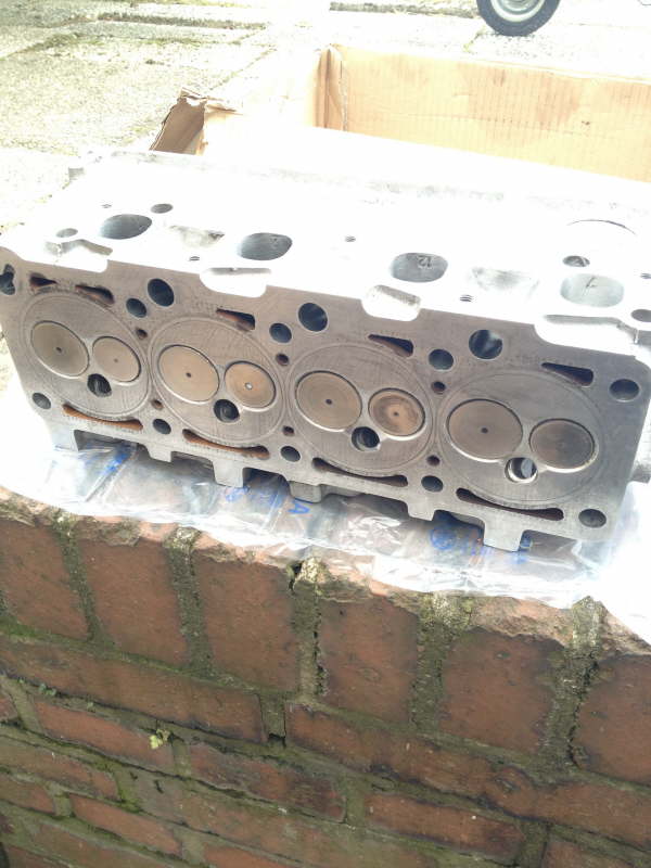 Bearbeiteter Kopf 1
