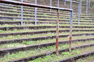 1. FC Saarbr&uuml;cken - VfL 2:2 �Flohre