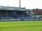 VfL - DSC Arminia Bielefeld 1:1