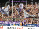 VfL - DSC Arminia Bielefeld 1:1