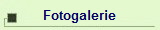 Fotogalerie