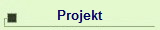 Projekt