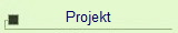 Projekt