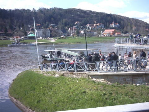08 Elbfähre in Rathen