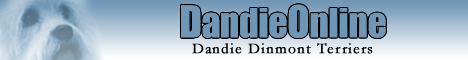 DandieOnline DANDIE-DINMONT-TERRIERS