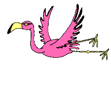 flamingo-03