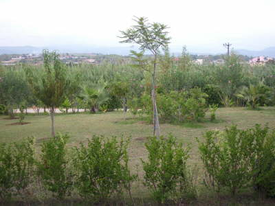DSCI0048