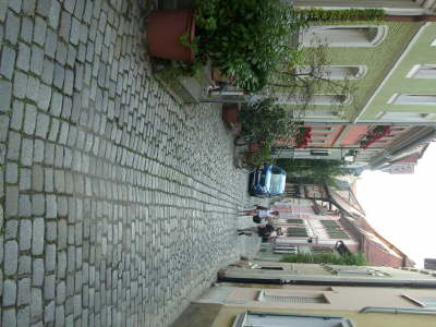 DSCI0851