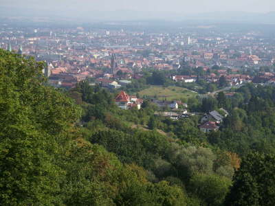 DSCI0862