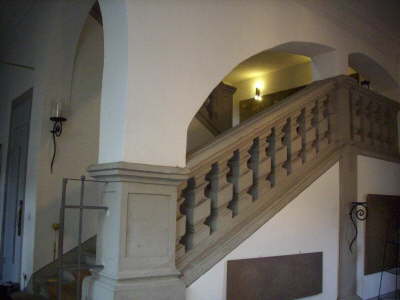 DSCI0885