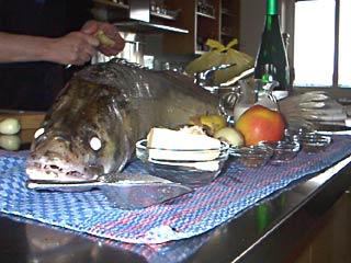 Fisch