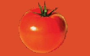 Tomate