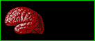 Hirns&auml;ule Banner f&uuml;r Eure Homepage (137 x 60 Pixel).  Einfach  rechte Maustaste klicken und "Bild speichern unter" w&auml;hlen.