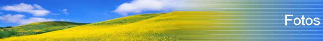 Fotos